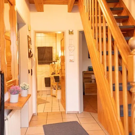 Tillmann Ii In Hooksiel Mit Hund Schillig